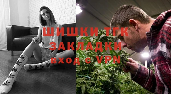 дживик Майский