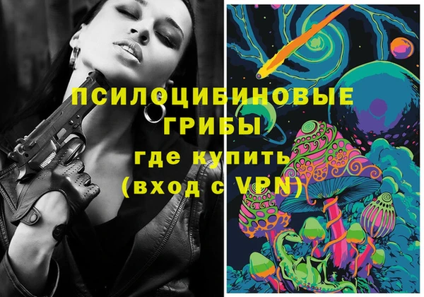 дживик Майский