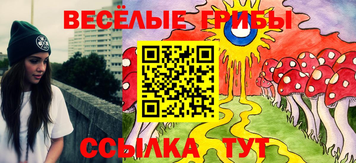 Псилоцибиновые грибы Magic Shrooms  Петропавловск-Камчатский 