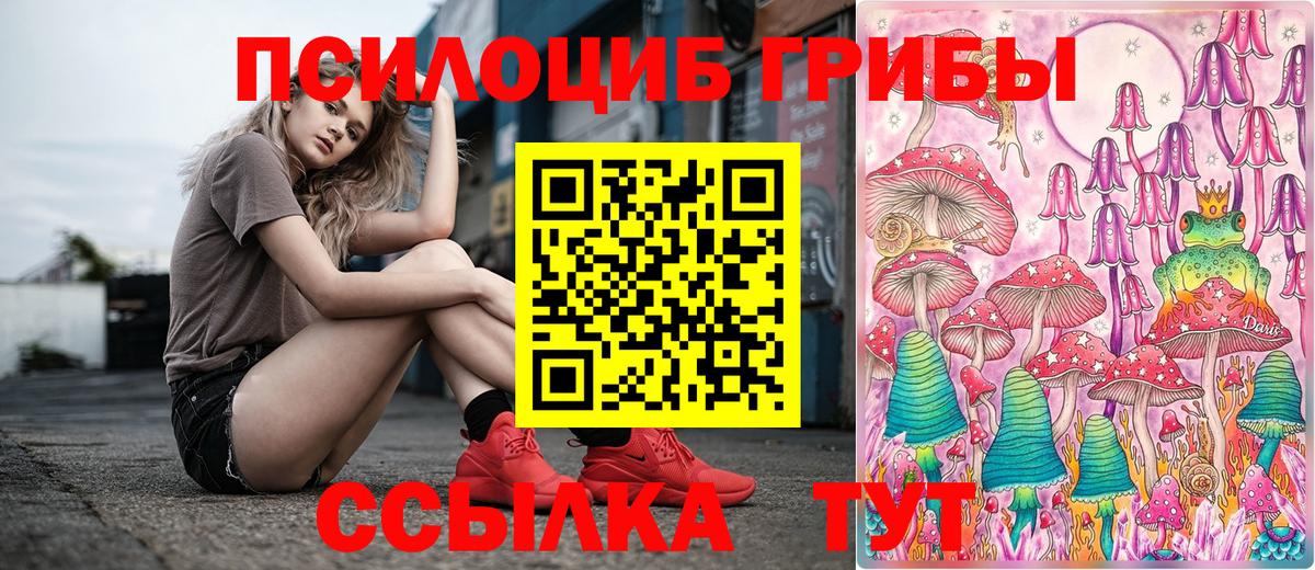 наркотики  Вход с VPN  Петропавловск-Камчатский  Псилоцибиновые грибы прущие грибы 