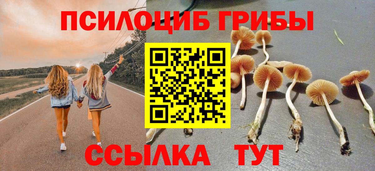 Псилоцибиновые грибы Magic Shrooms Петропавловск-Камчатский