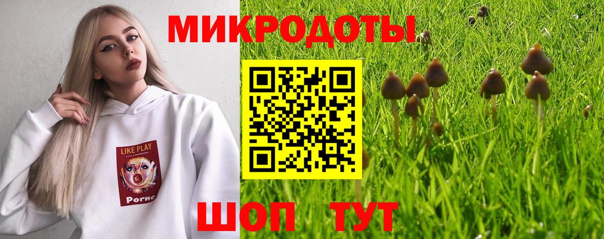 Где купить наркотики?  Мефедрон  Петропавловск-Камчатский  Диски  Кокаин  Гашиш  25-NBOMe  МДМА  Вход с VPN  Канабис 