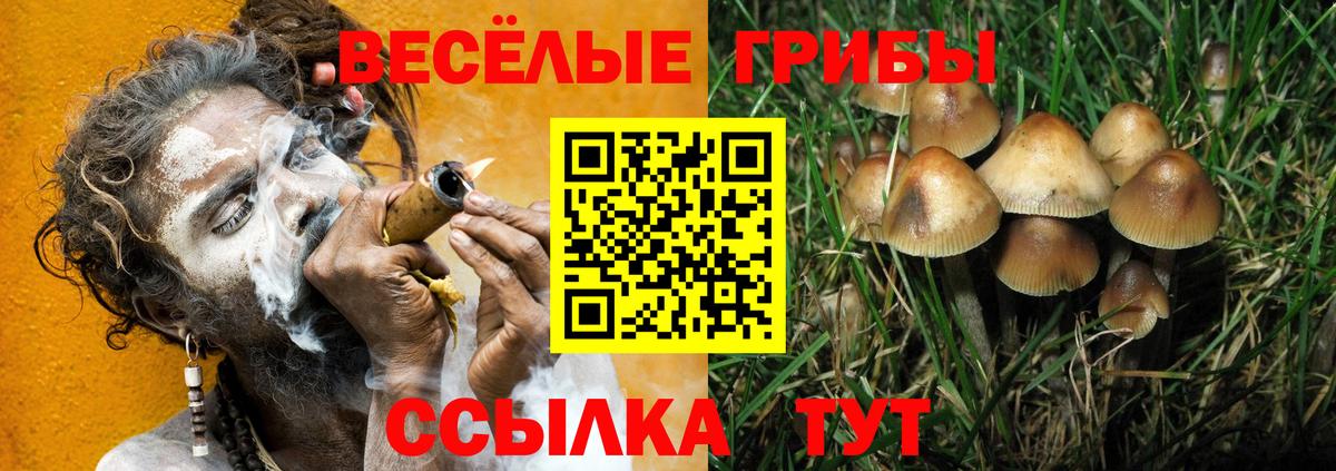 Галлюциногенные грибы GOLDEN TEACHER Петропавловск-Камчатский